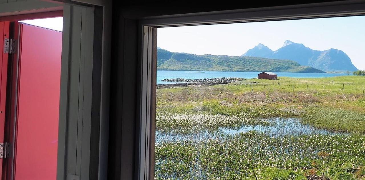 Steigen Lodge Sjohytter Engeloya Kamer foto