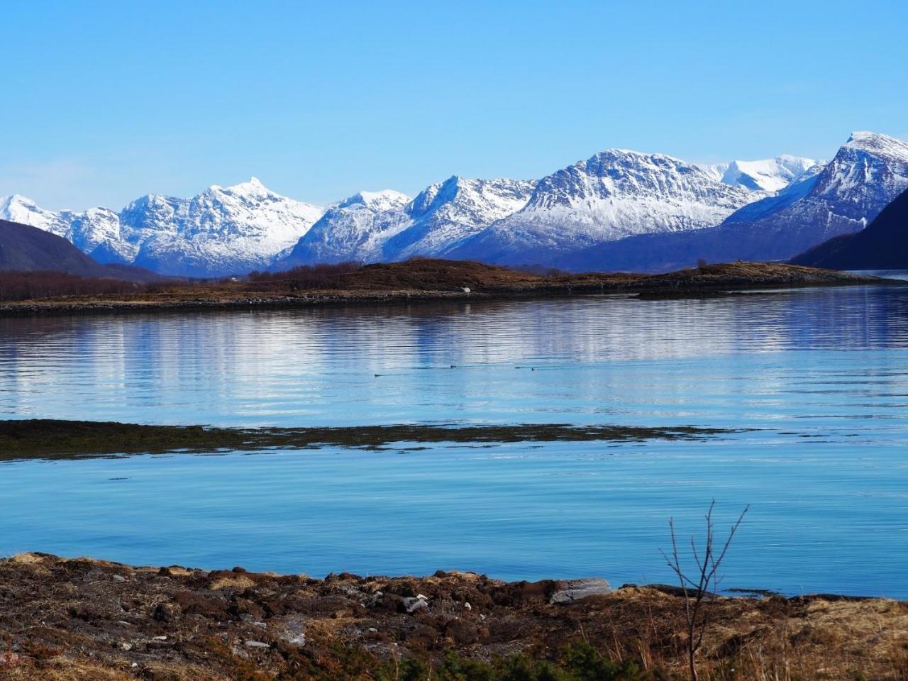 Steigen Lodge Sjohytter Engeloya Kamer foto